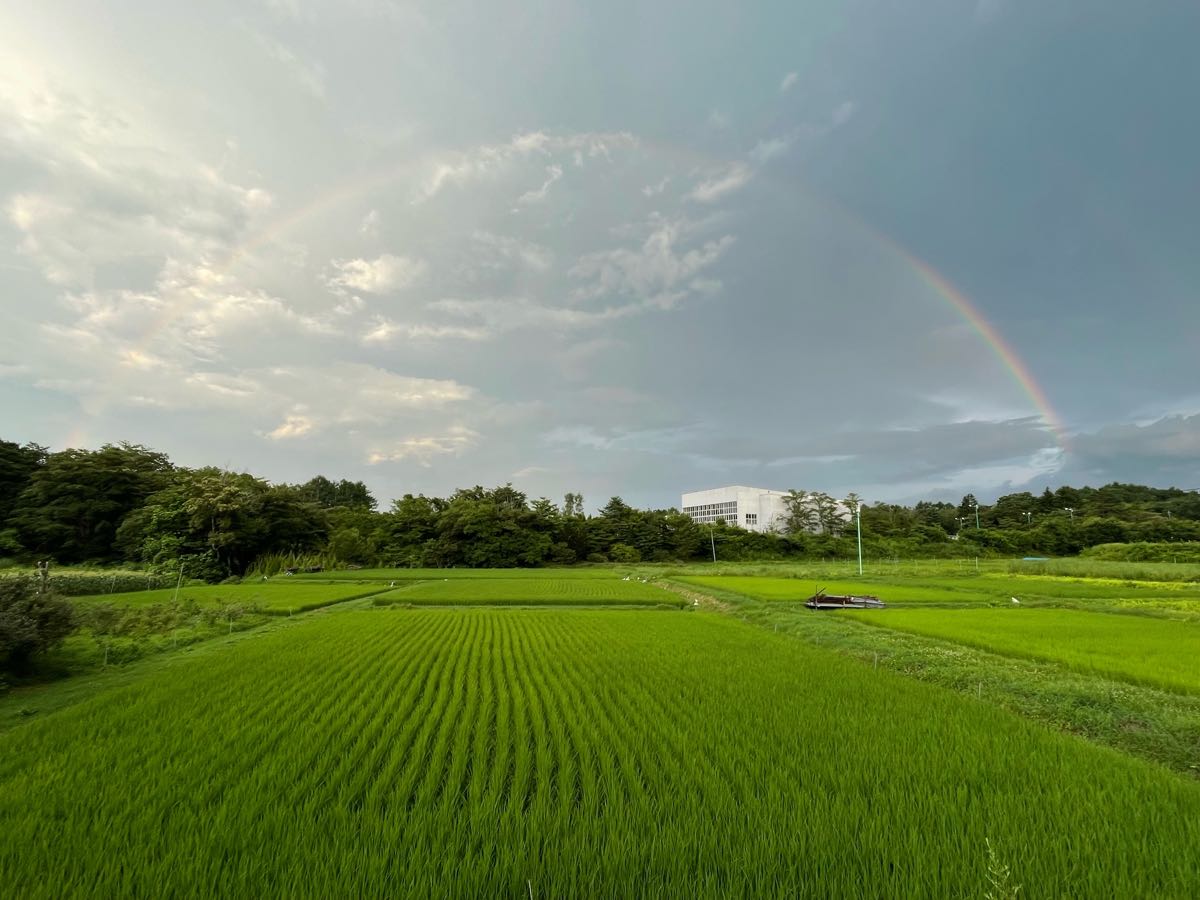 北軽井沢周辺の景色